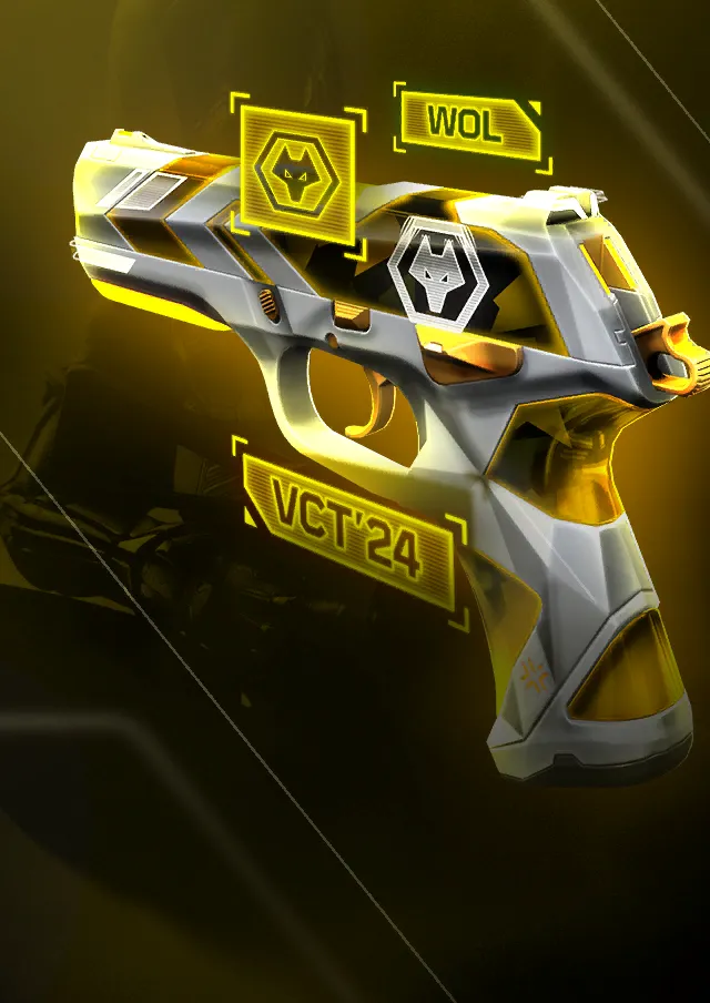 المقتنيات VCT x WOL