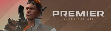 Card V25A2 DO PREMIER