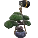 Buddy Bonsai