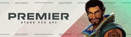 Tarjeta V25A6 PREMIER