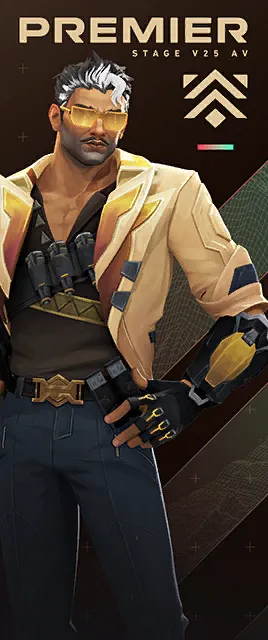 การ์ด PREMIER V25A5