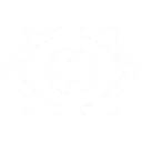 Neural Theft Neural Theft