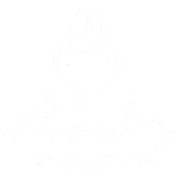 Seize Seize